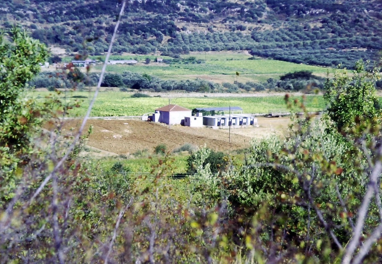Gkionia Terrakotten Fundort